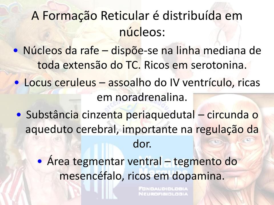 Locus ceruleus assoalho do IV ventrículo, ricas em noradrenalina.