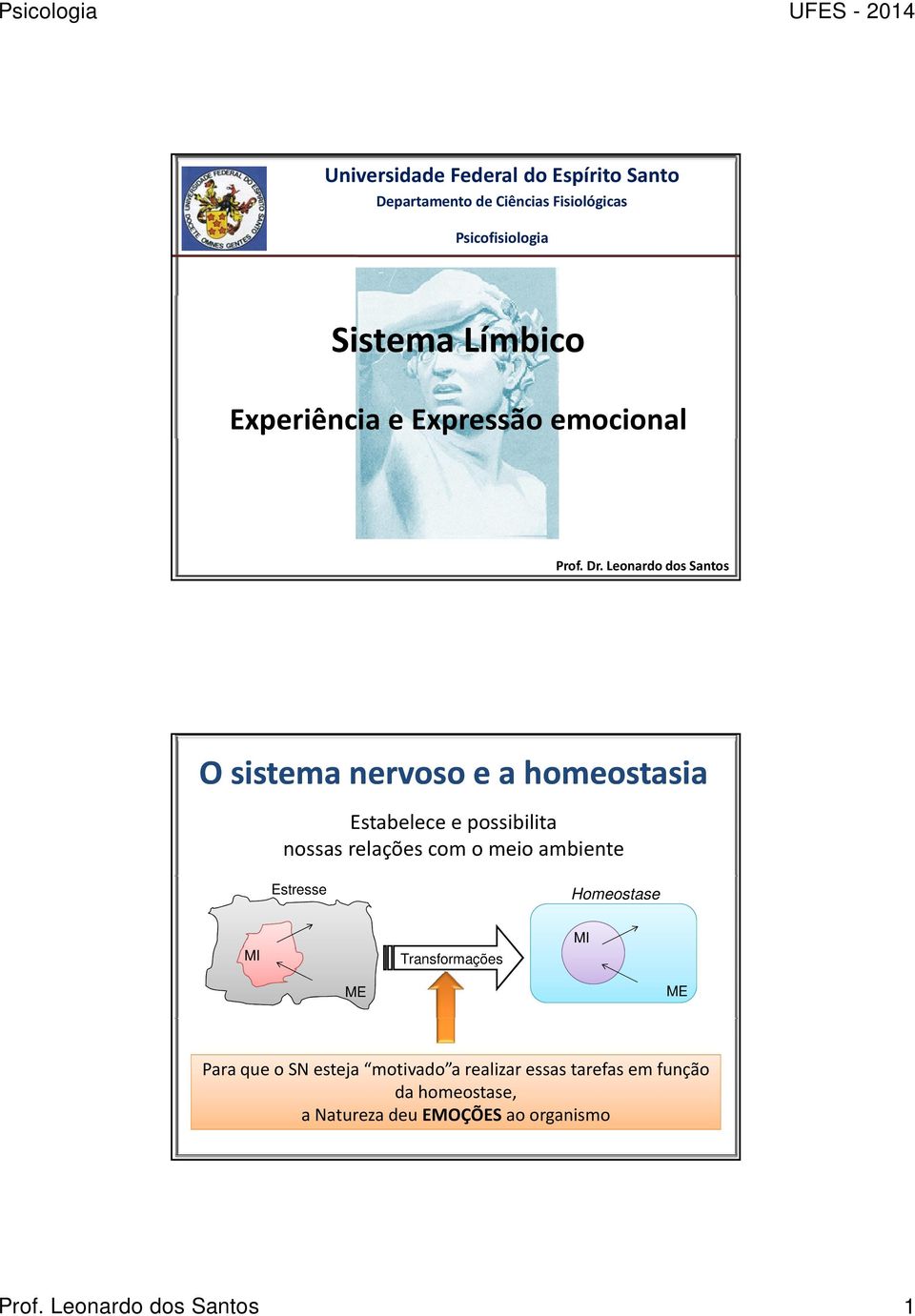 Leonardo dos Santos O sistema nervoso e a homeostasia Estabelece e possibilita nossas relações com o meio ambiente