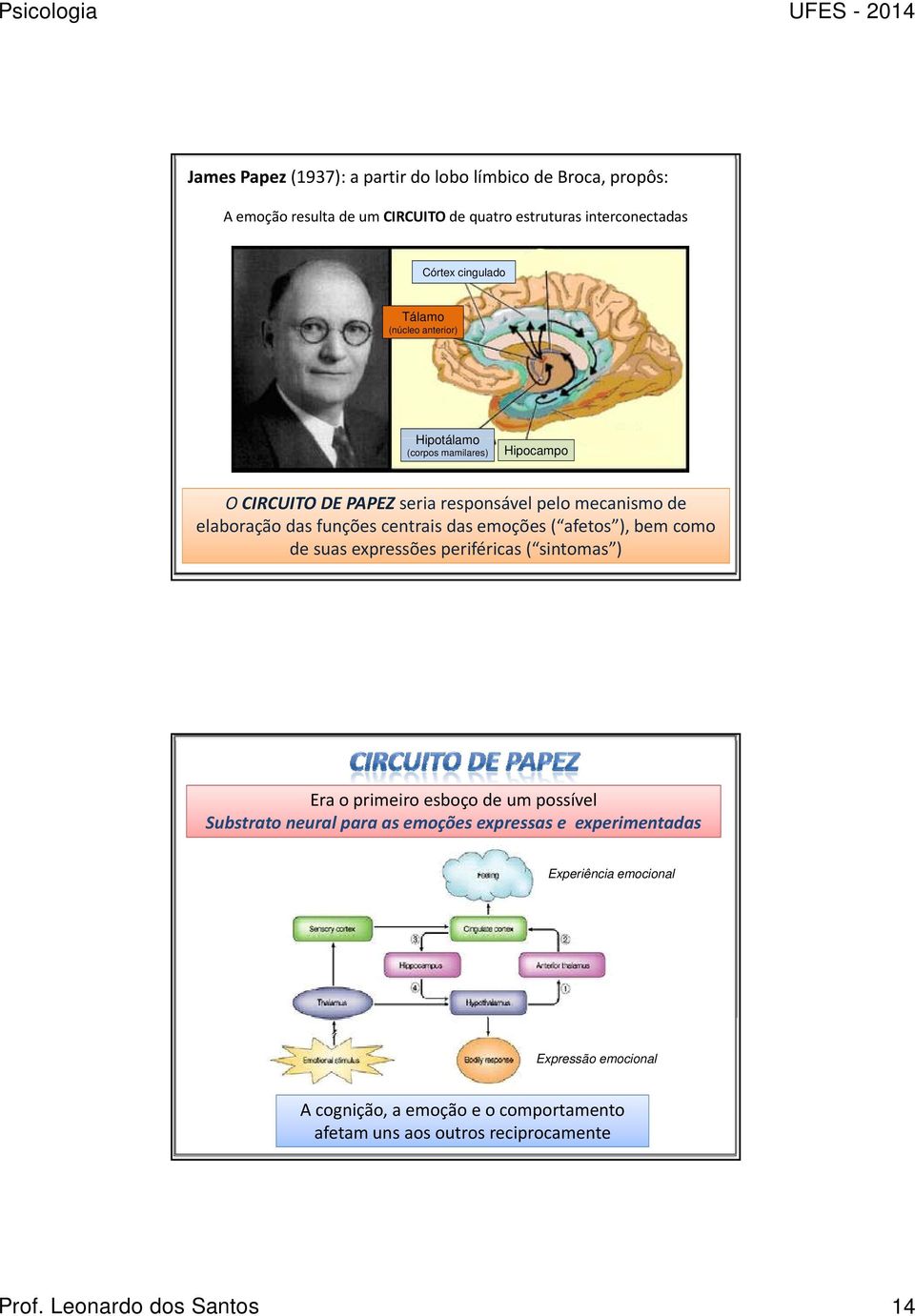 emoções ( afetos ), bem como de suas expressões periféricas ( sintomas ) Era o primeiro esboço de um possível Substrato neural para as emoções expressas e