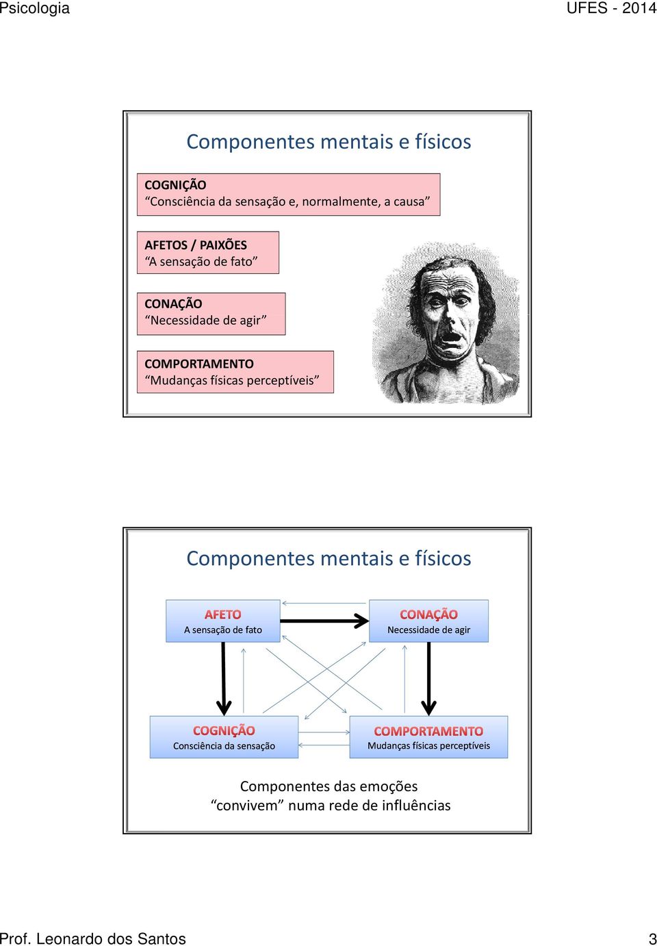 Componentes mentais e físicos A sensação de fato Necessidade de agir Consciência da sensação