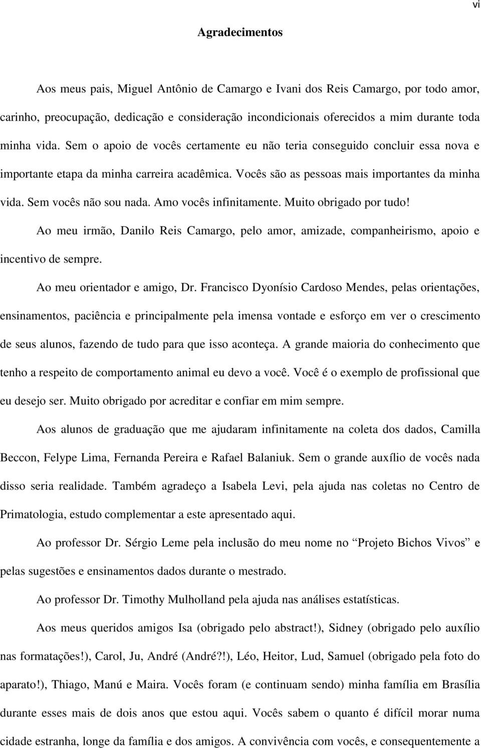 Sem vocês não sou nada. Amo vocês infinitamente. Muito obrigado por tudo! Ao meu irmão, Danilo Reis Camargo, pelo amor, amizade, companheirismo, apoio e incentivo de sempre.