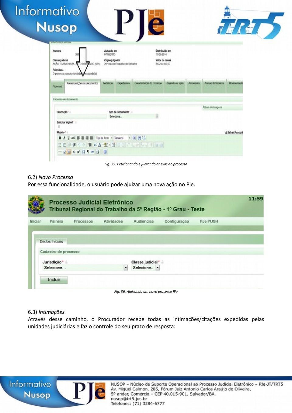 Fig. 36. Ajuizando um novo processo PJe 6.