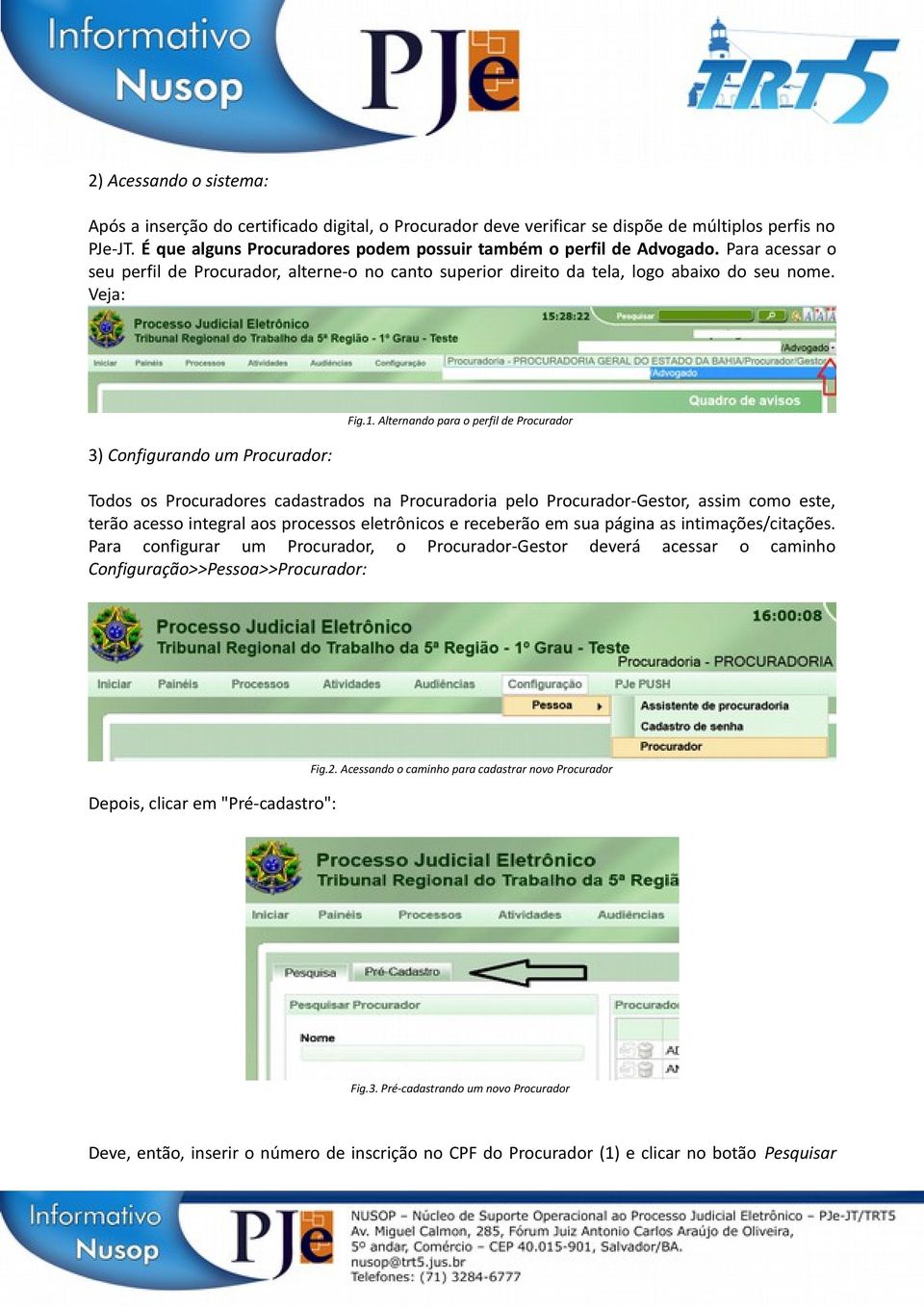 Veja: 3) Configurando um Procurador: Fig.1.