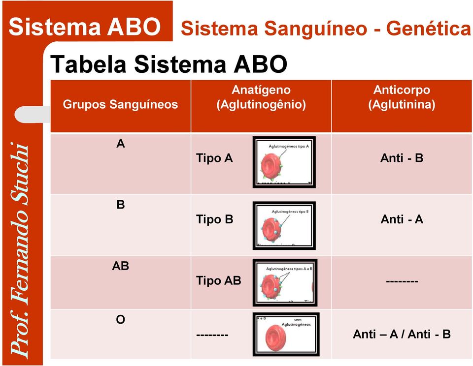 (Aglutinogênio) Anticorpo (Aglutinina) A Tipo A Anti