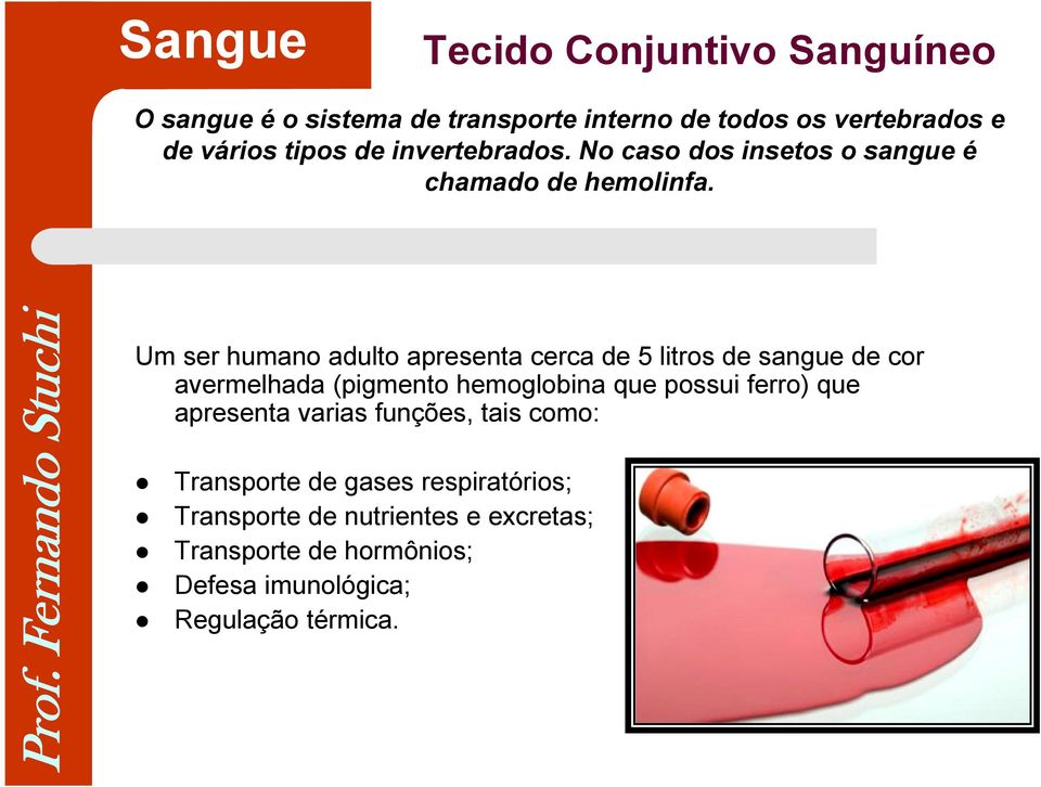 Um ser humano adulto apresenta cerca de 5 litros de sangue de cor avermelhada (pigmento hemoglobina que possui ferro) que