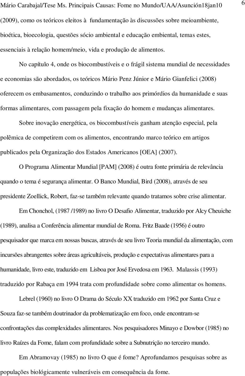 No capítulo 4, onde os biocombustíveis e o frágil sistema mundial de necessidades e economias são abordados, os teóricos Mário Penz Júnior e Mário Gianfelici (2008) oferecem os embasamentos,