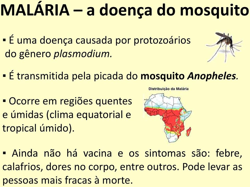 Ocorre em regiões quentes e úmidas (clima equatorial e tropical úmido).