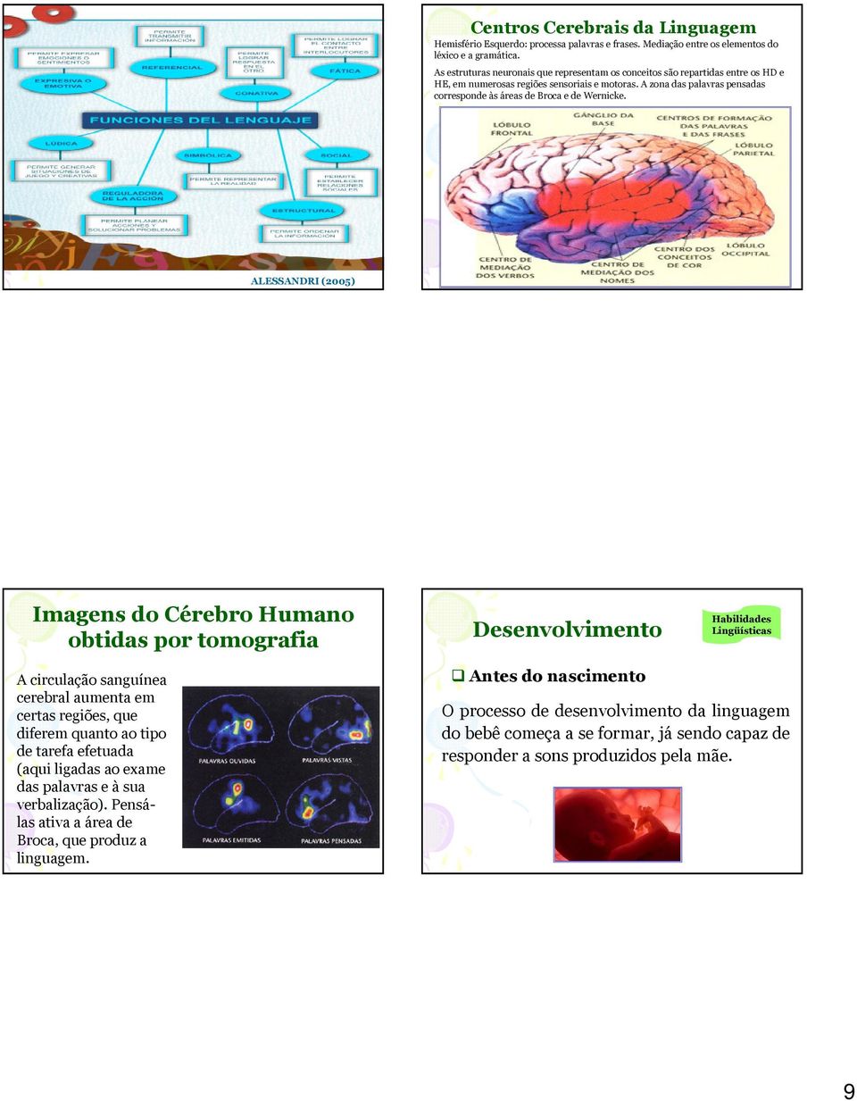 A zona das palavras pensadas corresponde às áreas de Broca e de Wernicke.