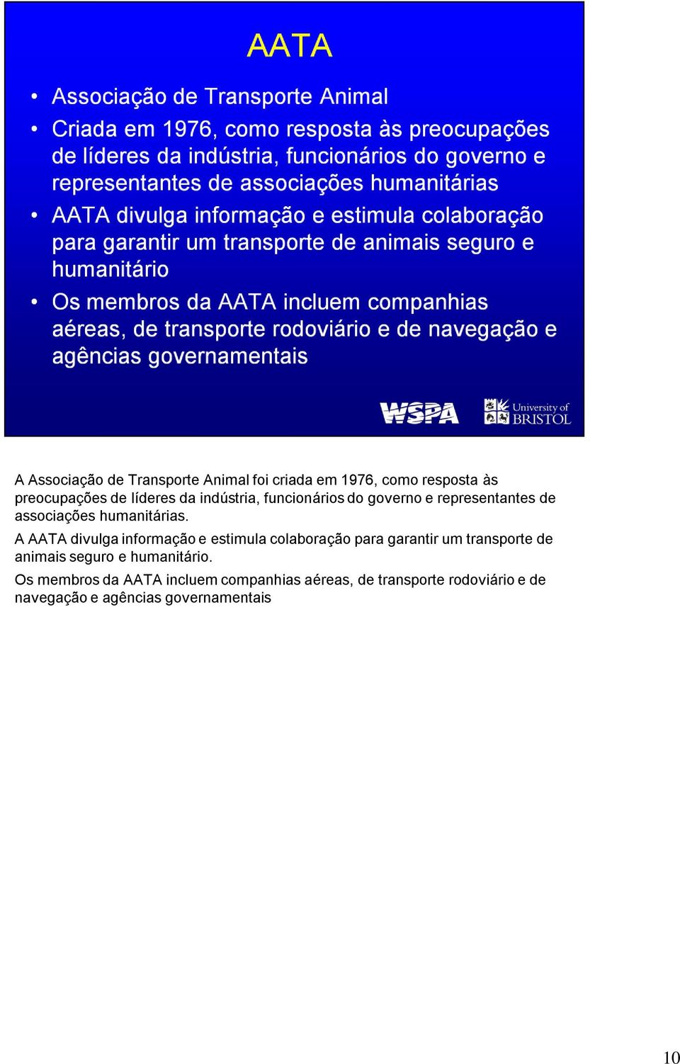 A AATA divulga informação e estimula colaboração para garantir um transporte de animais seguro e