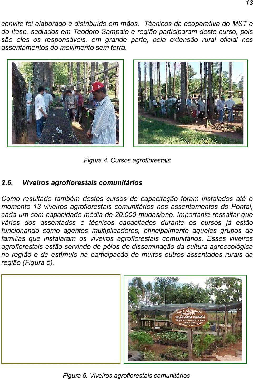 do movimento sem terra. Figura 4. Cursos agroflorestais 2.6.