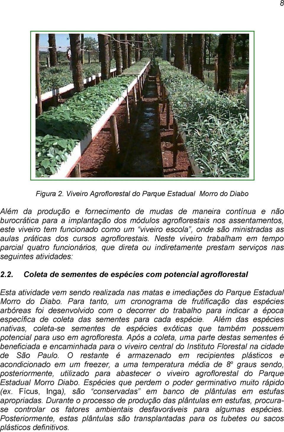 este viveiro tem funcionado como um viveiro escola, onde são ministradas as aulas práticas dos cursos agroflorestais.