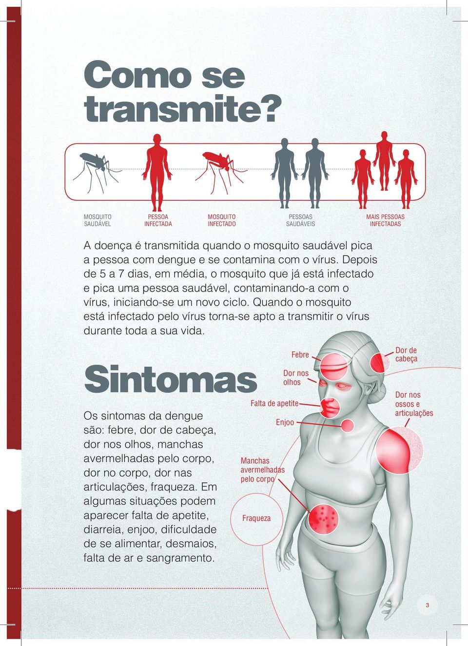 Depois de 5 a 7 dias, em média, o mosquito que já está infectado e pica uma pessoa saudável, contaminando-a com o vírus, iniciando-se um novo ciclo.