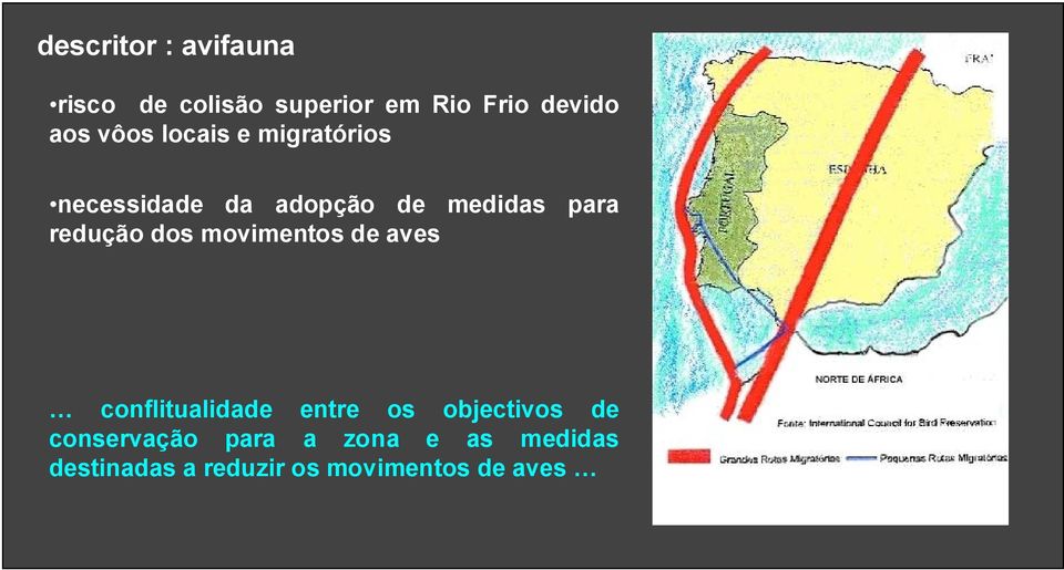 redução dos movimentos de aves conflitualidade entre os objectivos de