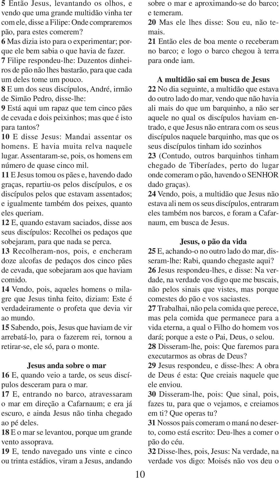 8 E um dos seus discípulos, André, irmão de Simão Pedro, disse-lhe: 9 Está aqui um rapaz que tem cinco pães de cevada e dois peixinhos; mas que é isto para tantos?