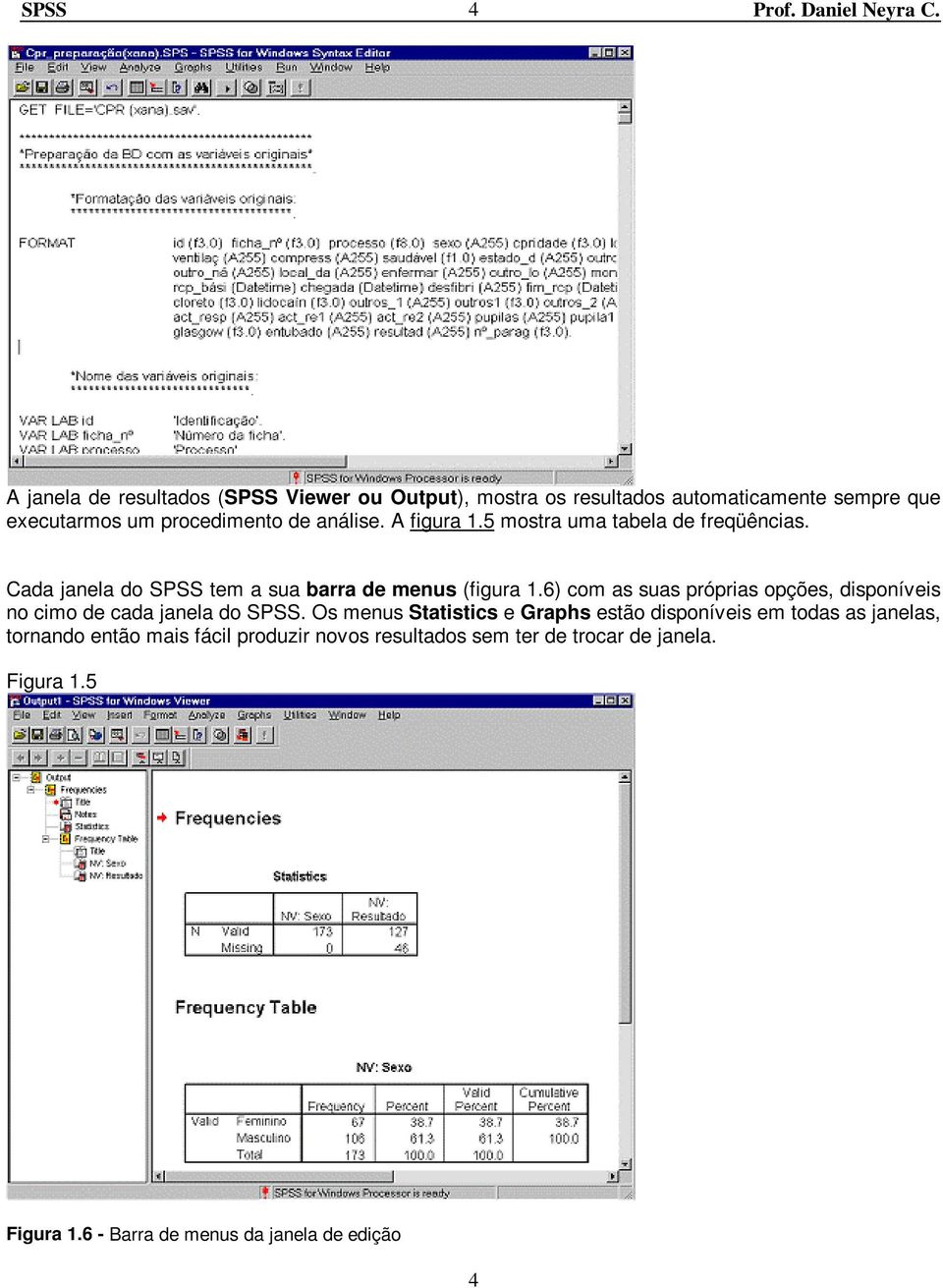 6) com as suas próprias opções, disponíveis no cimo de cada janela do SPSS.