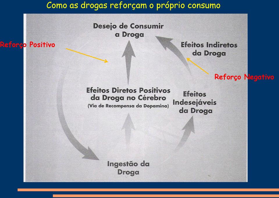 consumo Reforço