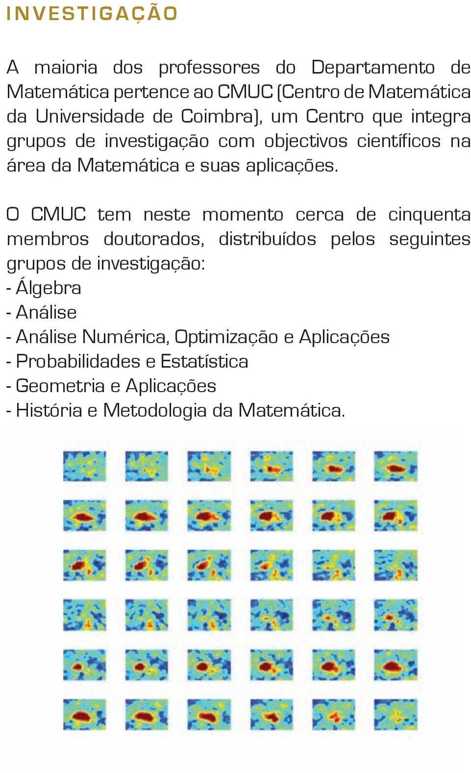 O CMUC tem neste momento cerca de cinquenta membros doutorados, distribuídos pelos seguintes grupos de investigação: - Álgebra -