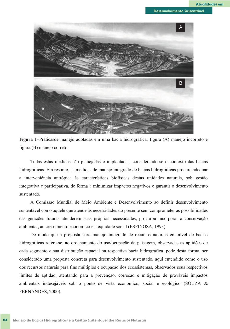 Em resumo, as medidas de manejo integrado de bacias hidrográficas procura adequar a interveniência antrópica às características biofísicas destas unidades naturais, sob gestão integrativa e