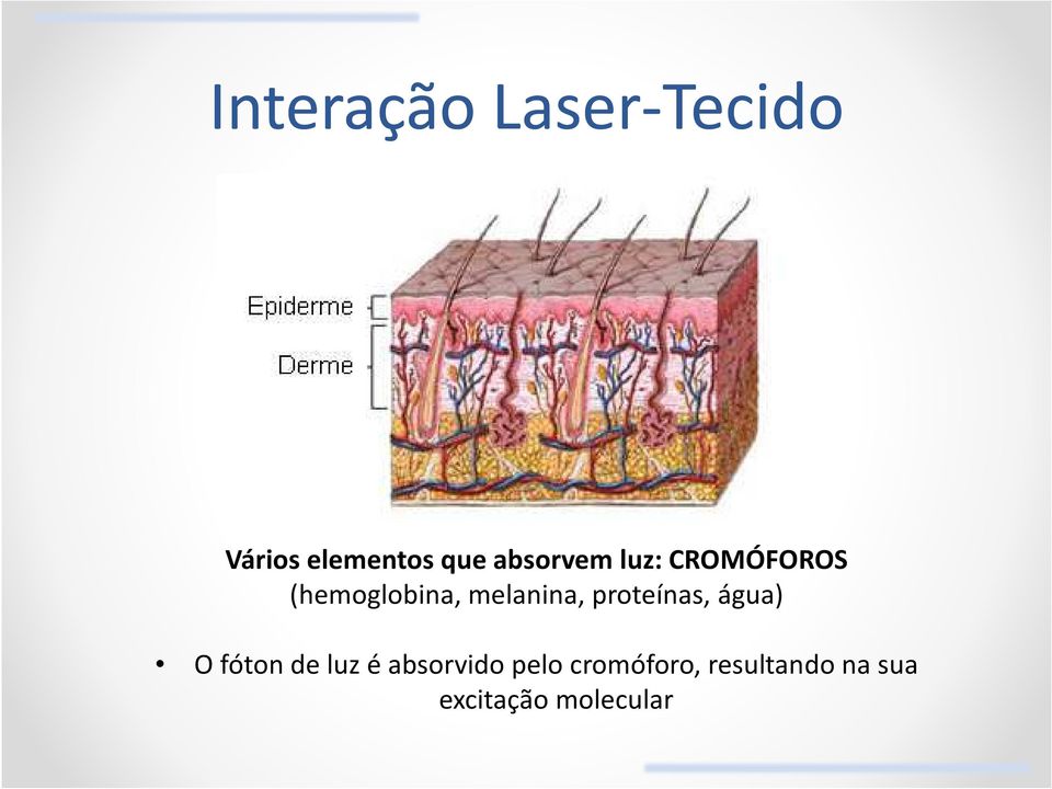 melanina, proteínas, água) O fóton de luz é