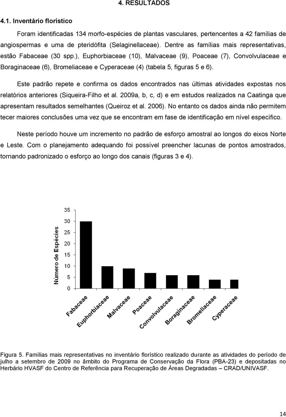 ), Euphorbiaceae (10), Malvaceae (9), Poaceae (7), Convolvulaceae e Boraginaceae (6), Bromeliaceae e Cyperaceae (4) (tabela 5, figuras 5 e 6).