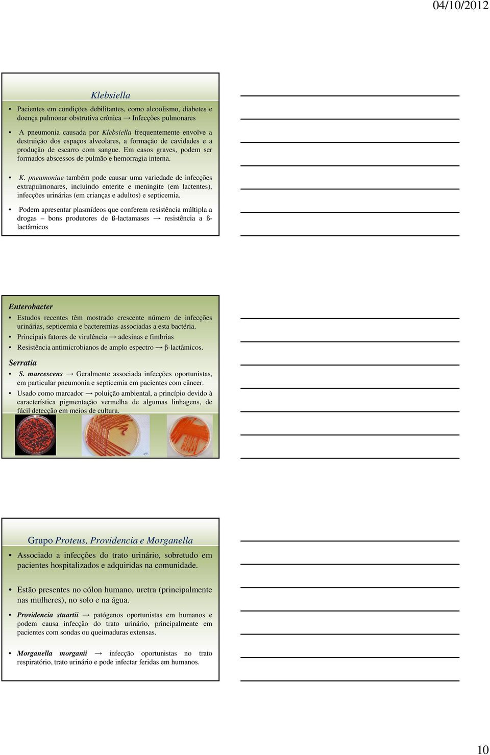 pneumoniae também pode causar uma variedade de infecções extrapulmonares, incluindo enterite e meningite (em lactentes), infecções urinárias (em crianças e adultos) e septicemia.