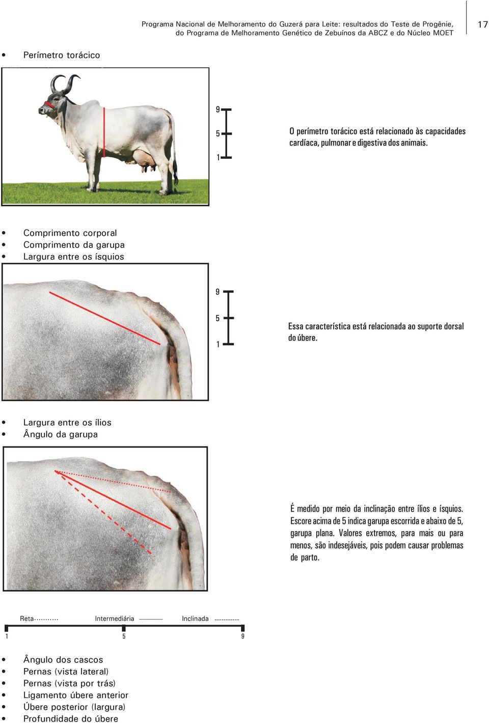 Escore acima de 5 indica garupa escorrida e abaixo de 5, garupa plana.