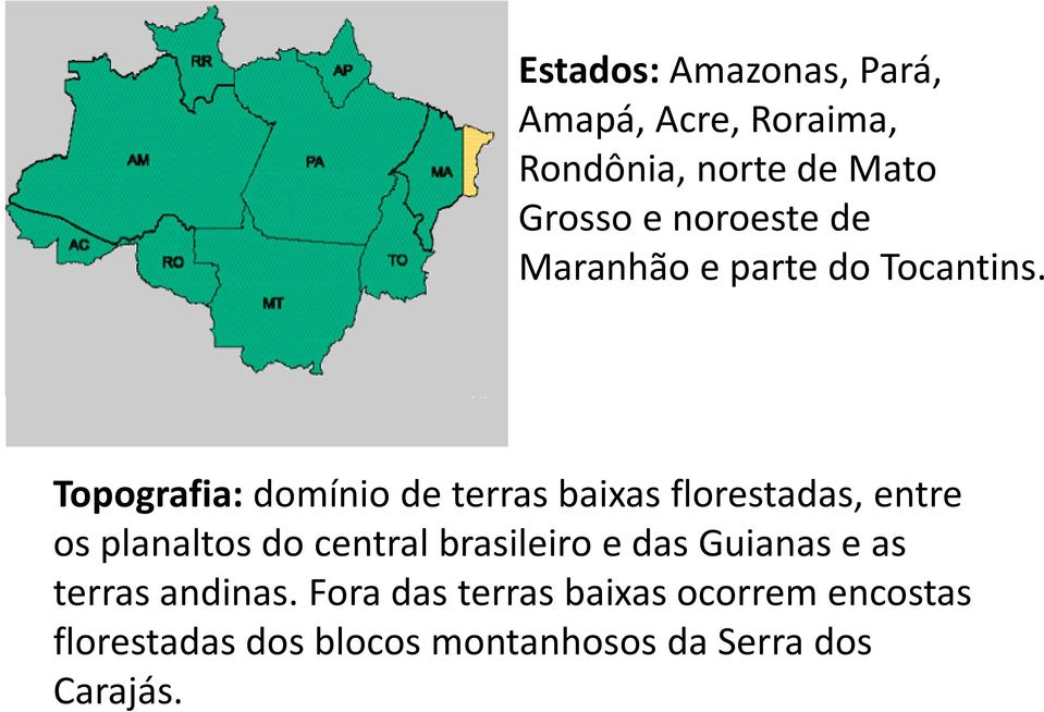 Topografia: domínio de terras baixas florestadas, entre os planaltos do central