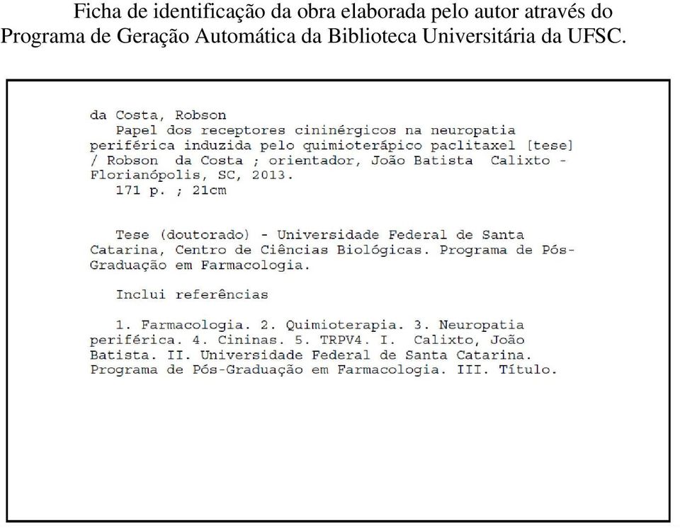 Programa de Geração Automática