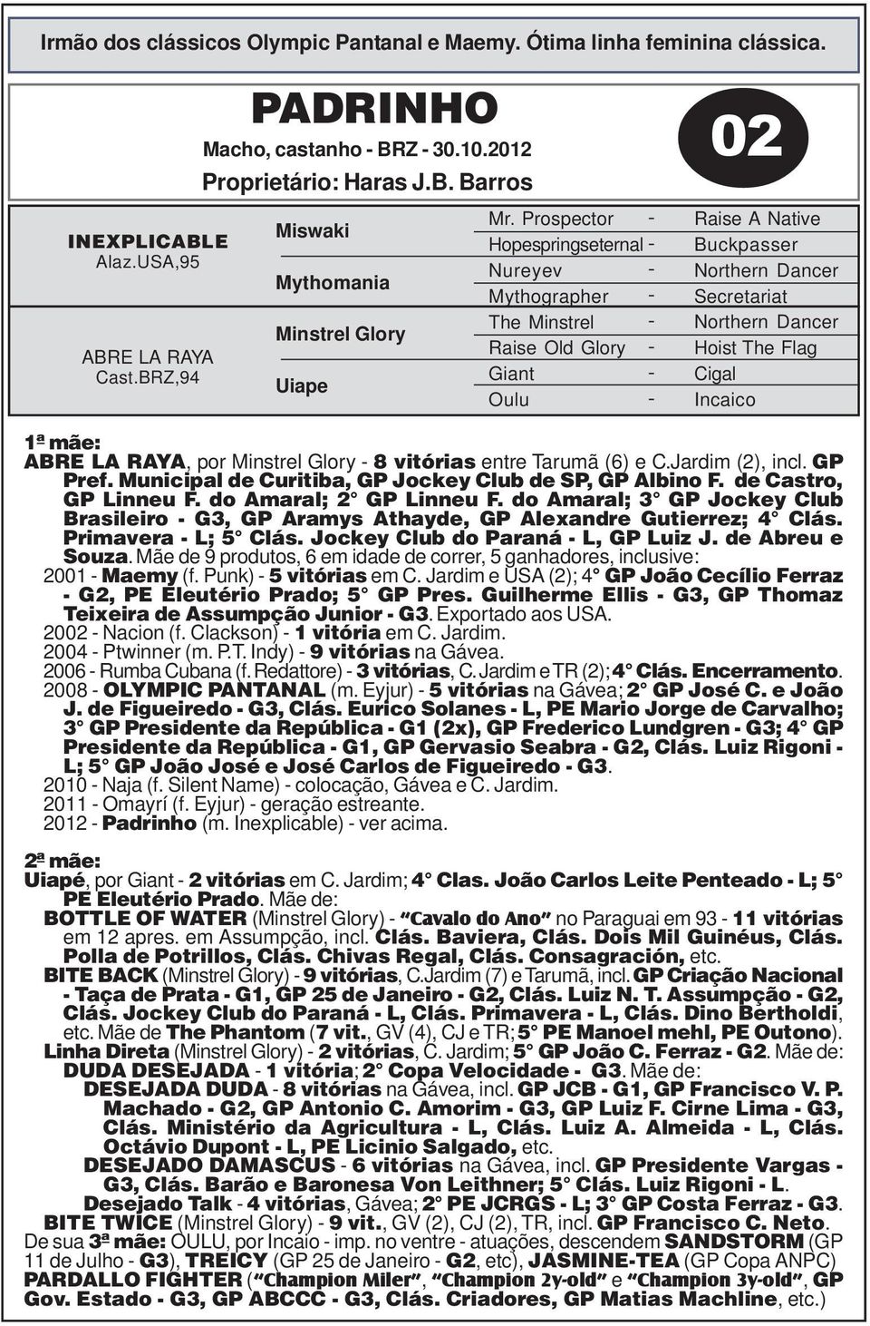 mãe: ABRE LA RAYA, por Minstrel Glory 8 vitórias entre Tarumã (6) e C.Jardim (2), incl. GP Pref. Municipal de Curitiba, GP Jockey Club de SP, GP Albino F. de Castro, GP Linneu F.