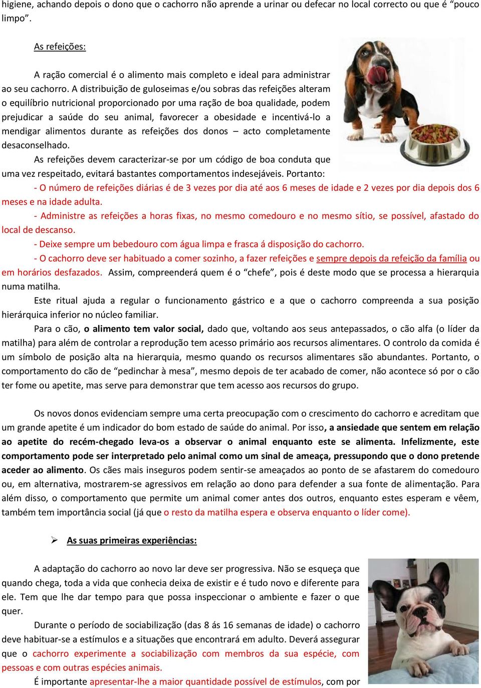 A distribuição de guloseimas e/ou sobras das refeições alteram o equilíbrio nutricional proporcionado por uma ração de boa qualidade, podem prejudicar a saúde do seu animal, favorecer a obesidade e