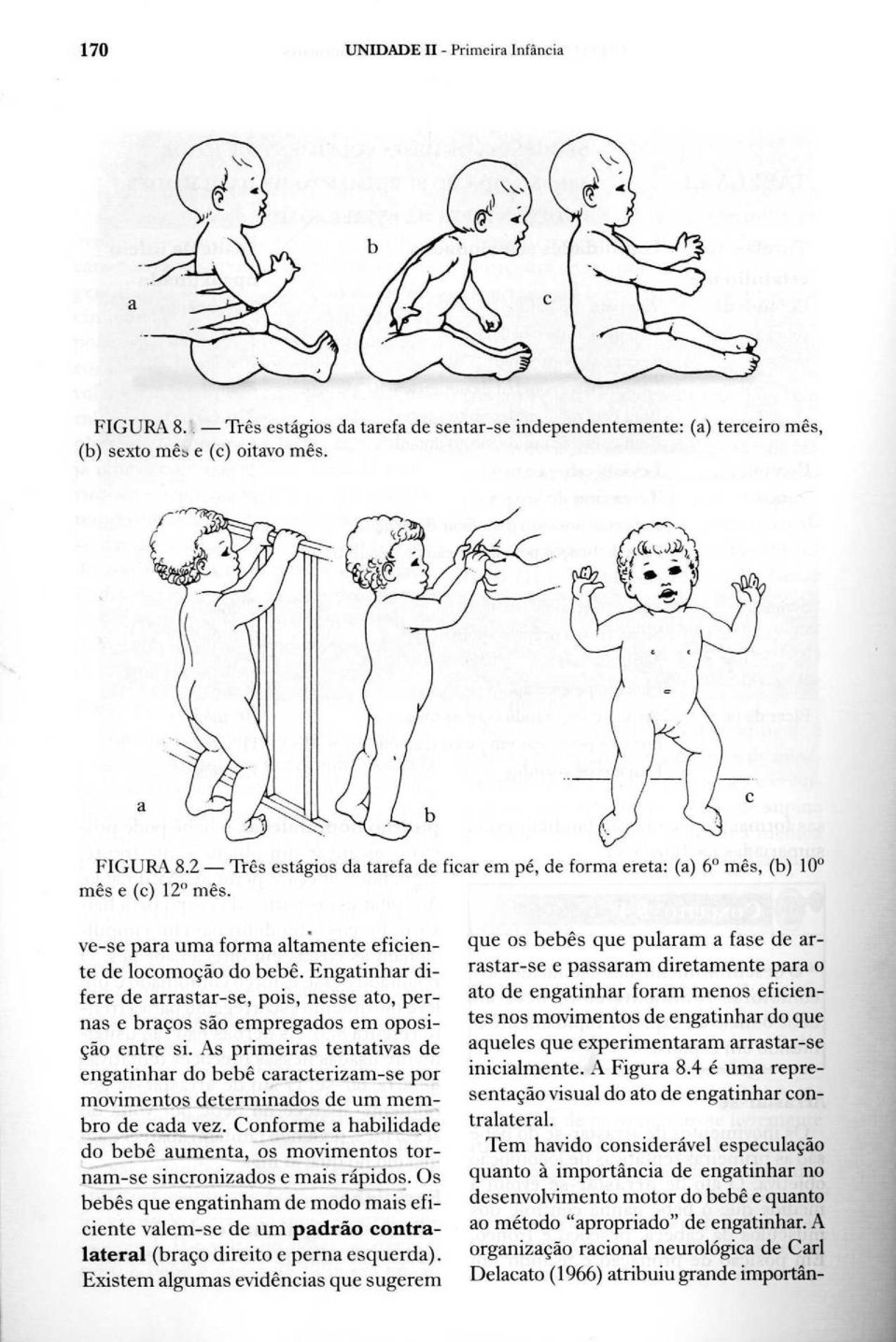 As primeiras tentativas de engatinhar do bebê caracterizam-se por movimentos determinados de um membro de cada vez.