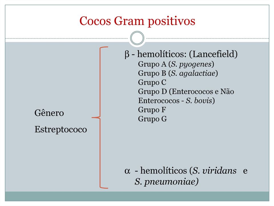 agalactiae) Grupo C Grupo D (Enterococose Não