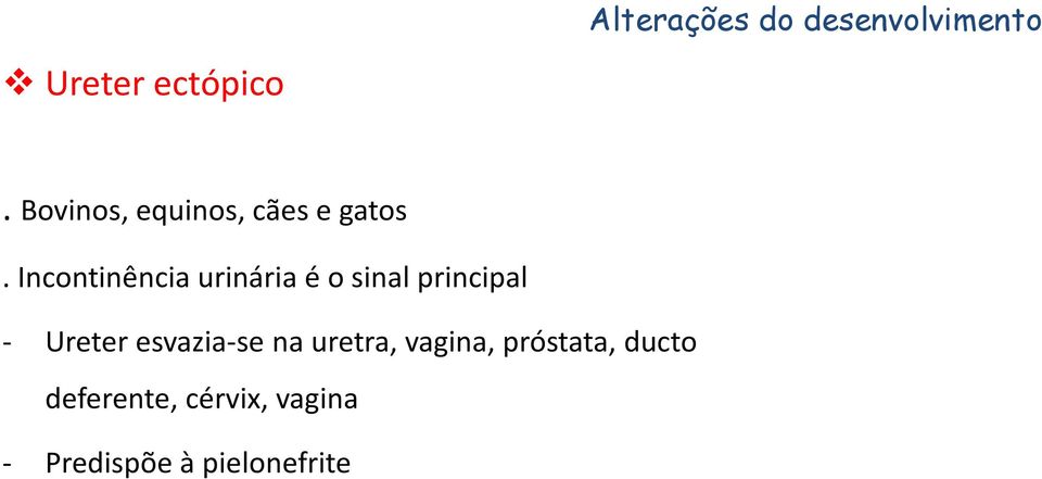 Incontinência urinária é o sinal principal Ureter