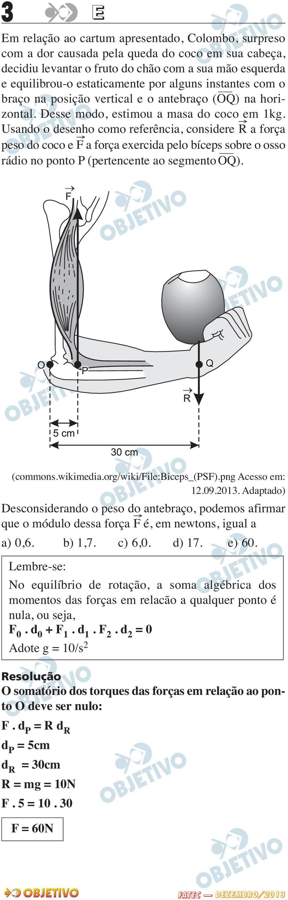 Usando o desenho como referência, considere R a força peso do coco e F a força exercida pelo bíceps sobre o osso rádio no ponto P (pertencente ao segmento OQ). (commons.wikimedia.