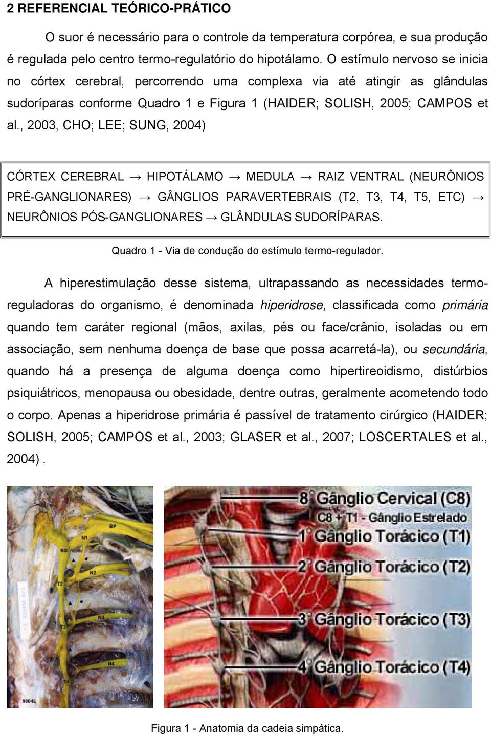 , 2003, CHO; LEE; SUNG, 2004) CÓRTEX CEREBRAL HIPOTÁLAMO MEDULA RAIZ VENTRAL (NEURÔNIOS PRÉ-GANGLIONARES) GÂNGLIOS PARAVERTEBRAIS (T2, T3, T4, T5, ETC) NEURÔNIOS PÓS-GANGLIONARES GLÂNDULAS