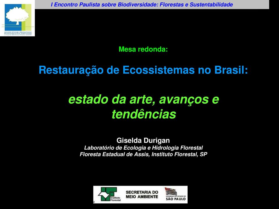 Brasil: estado da arte, avanços e tendências Giselda Durigan Laboratório de