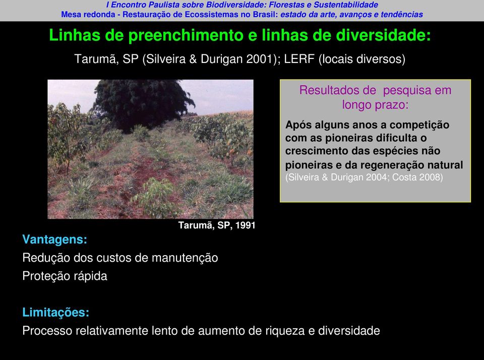 espécies não pioneiras e da regeneração natural (Silveira & Durigan 2004; Costa 2008) Vantagens: Tarumã, SP, 1991