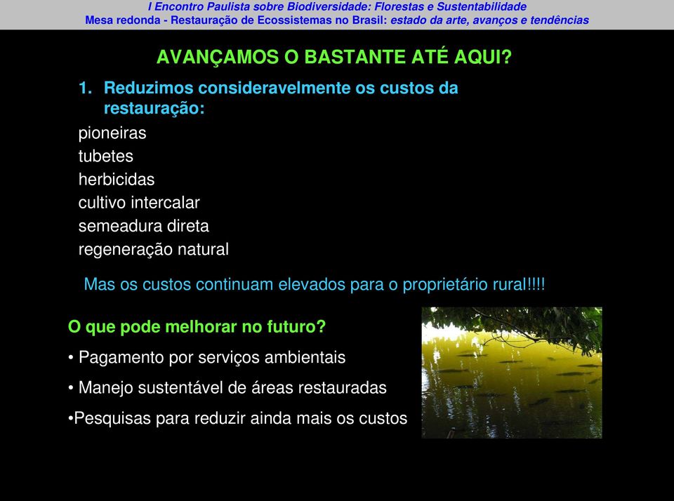 intercalar semeadura direta regeneração natural Mas os custos continuam elevados para o