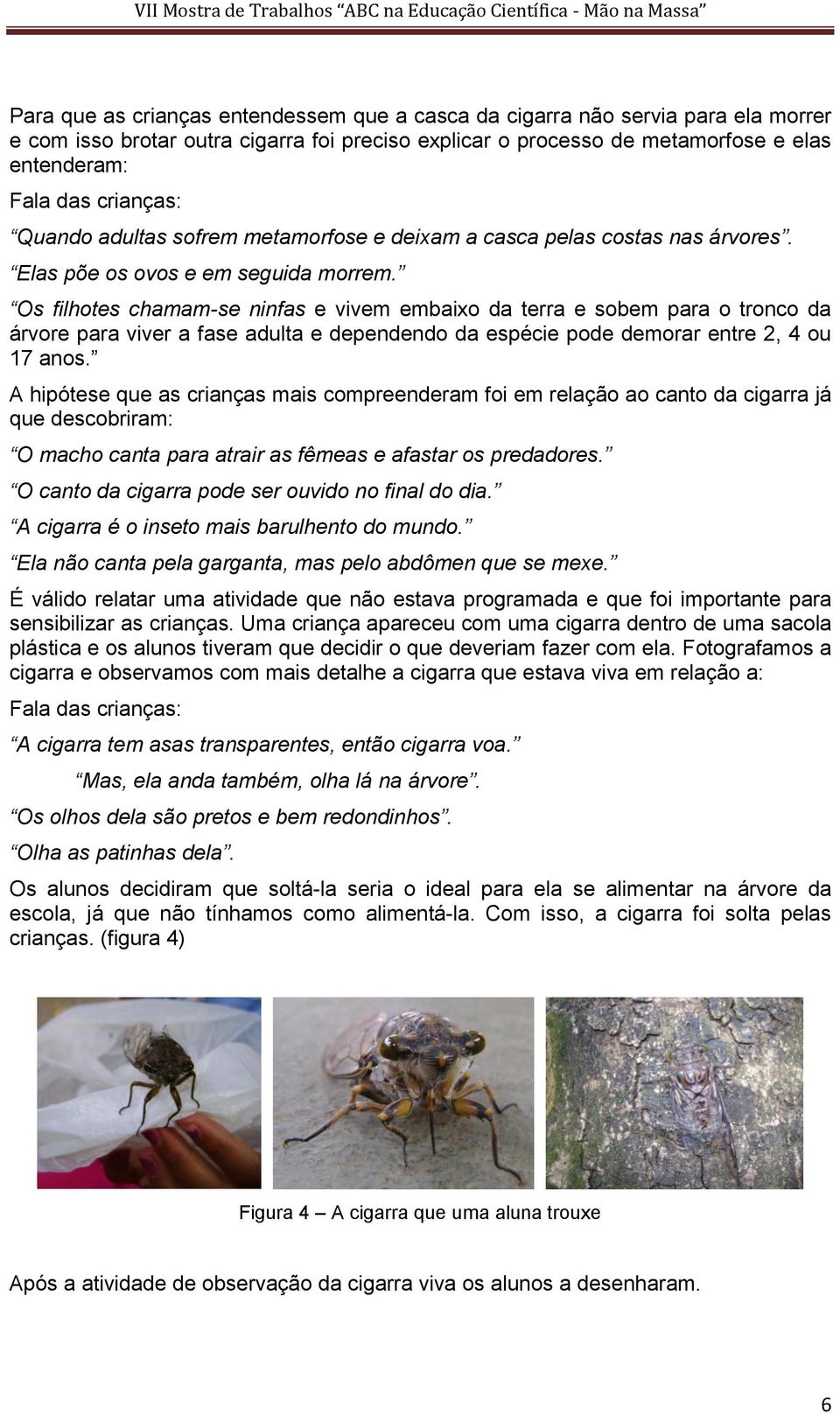 Os filhotes chamam-se ninfas e vivem embaixo da terra e sobem para o tronco da árvore para viver a fase adulta e dependendo da espécie pode demorar entre 2, 4 ou 17 anos.