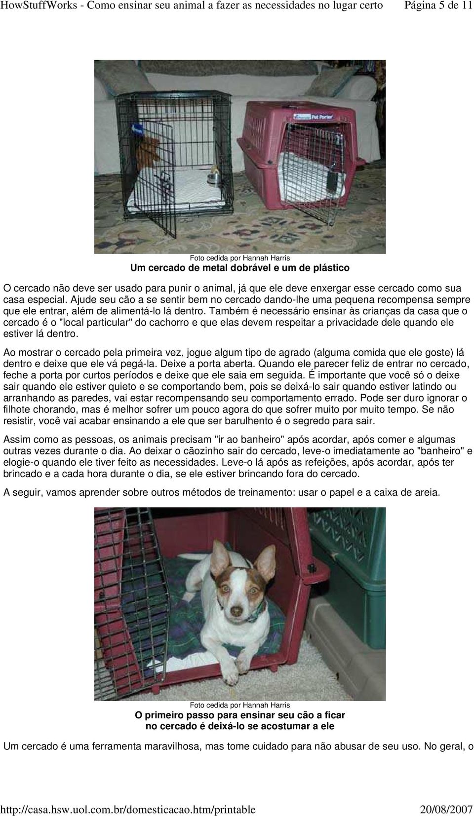 Também é necessário ensinar às crianças da casa que o cercado é o "local particular" do cachorro e que elas devem respeitar a privacidade dele quando ele estiver lá dentro.