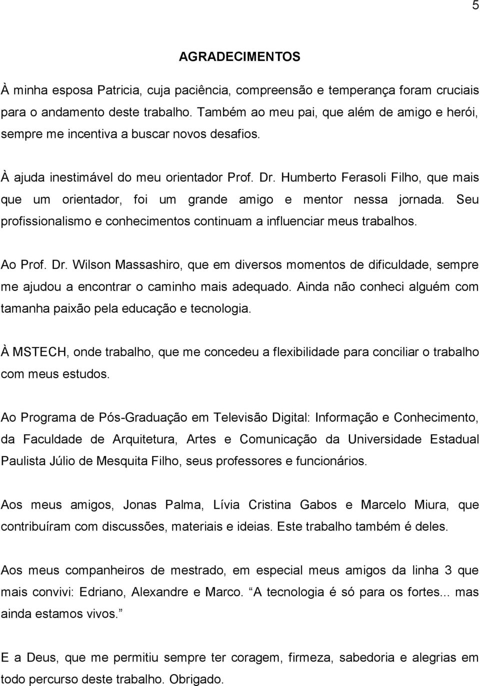 Humberto Ferasoli Filho, que mais que um orientador, foi um grande amigo e mentor nessa jornada. Seu profissionalismo e conhecimentos continuam a influenciar meus trabalhos. Ao Prof. Dr.