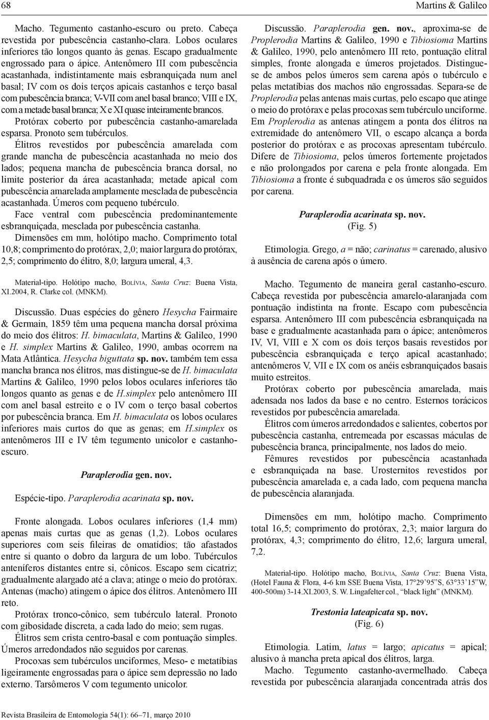 branco; VIII e IX, com a metade basal branca; X e XI quase inteiramente brancos. Protórax coberto por pubescência castanho-amarelada esparsa. Pronoto sem tubérculos.