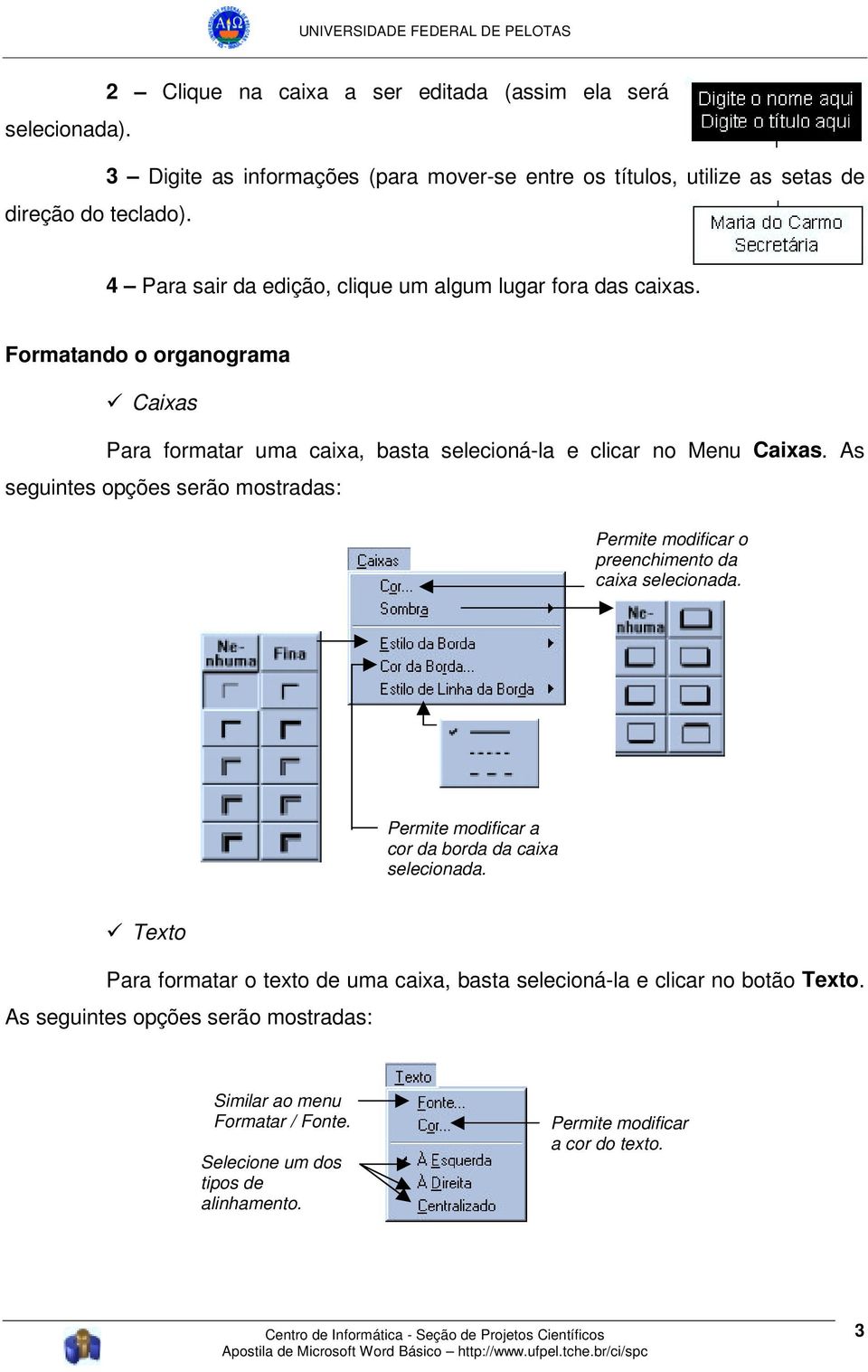 As seguintes opções serão mostradas: Permite modificar o preenchimento da caixa selecionada. Permite modificar a cor da borda da caixa selecionada.