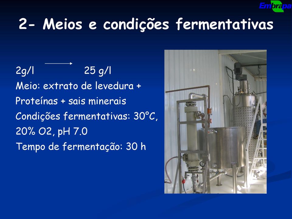 sais minerais Condições fermentativas: 30