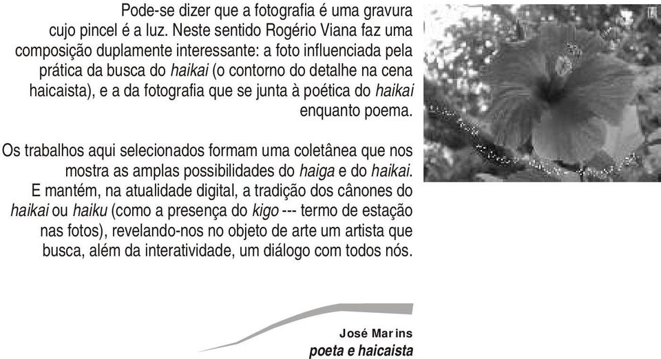 a da fotografia que se junta à poética do haikai enquanto poema.