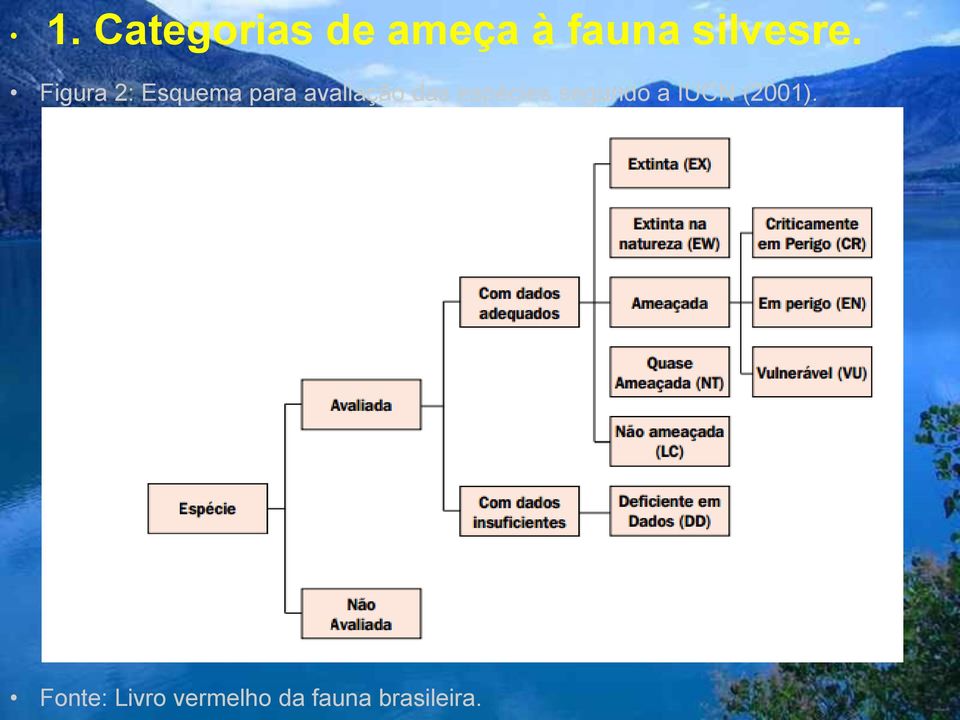 Figura 2: Esquema para avaliação das