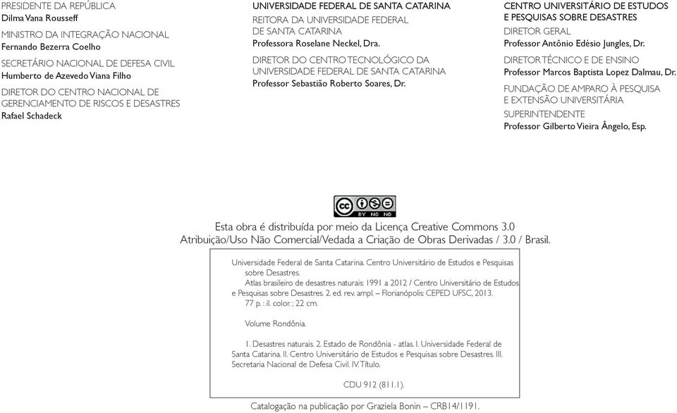 DIRETOR DO CENTRO TECNOLÓGICO DA UNIVERSIDADE FEDERAL DE SANTA CATARINA Professor Sebastião Roberto Soares, Dr.