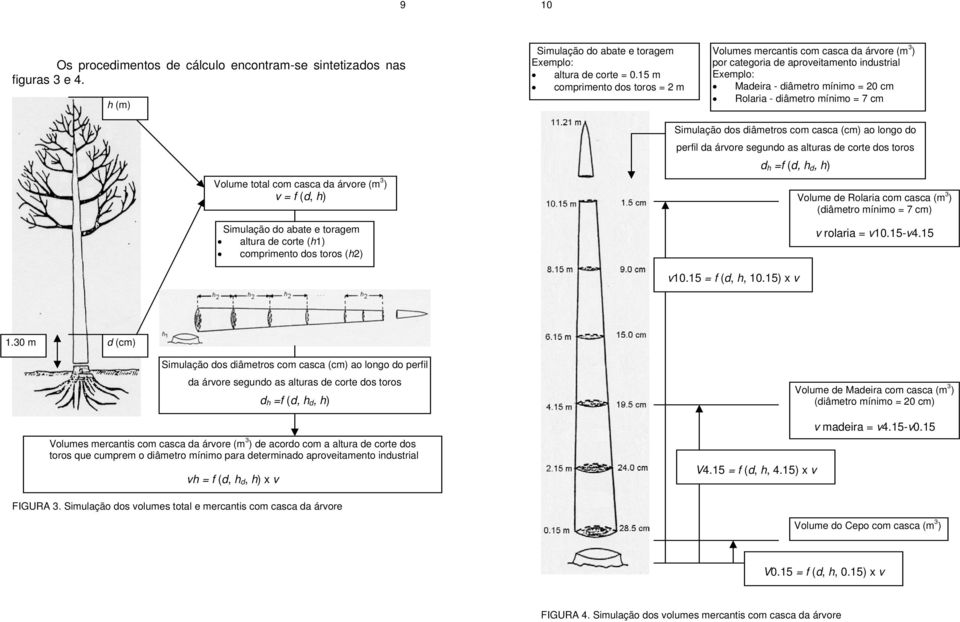 Volume total com casca da árvore (m 3 ) v = f (d, ) Simulação do abate e toragem altura de corte (1) comprimento dos toros () Simulação dos diâmetros com casca (cm) ao longo do perfil da árvore