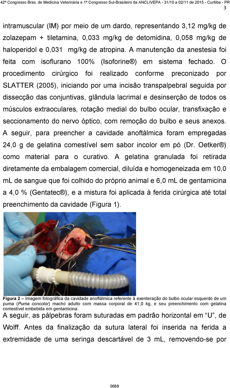 O procedimento cirúrgico foi realizado conforme preconizado por SLATTER (2005), iniciando por uma incisão transpalpebral seguida por dissecção das conjuntivas, glândula lacrimal e desinserção de