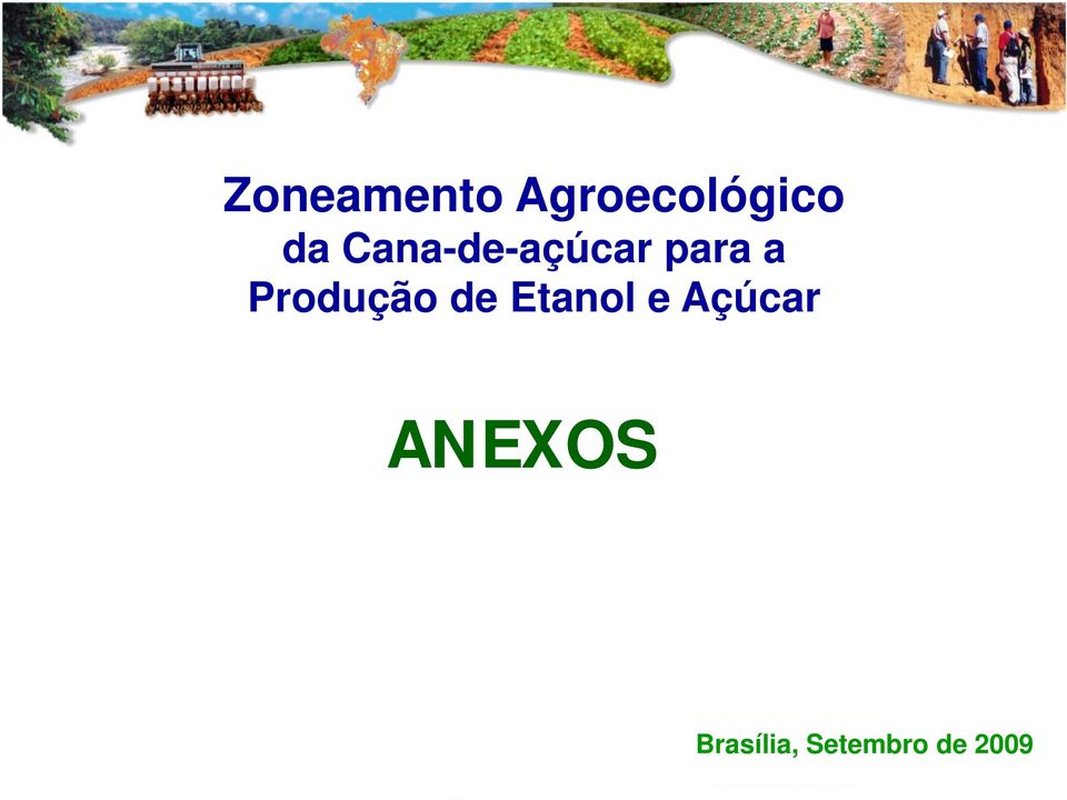 Produção de Etanol e Açúcar